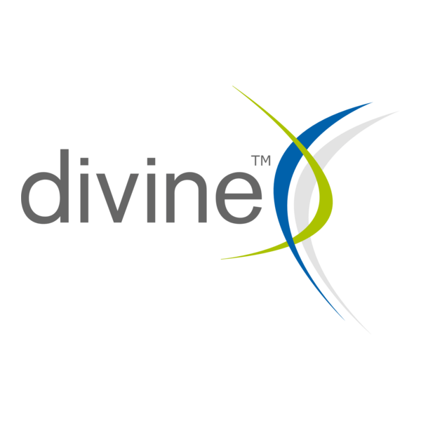 Divine White